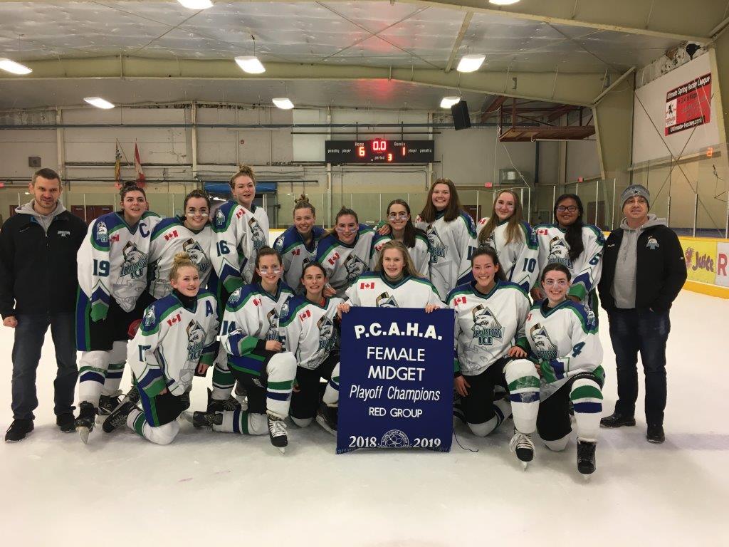 Midget C2 Team wins Playoff Banner – Abbotsford Female Hockey Association